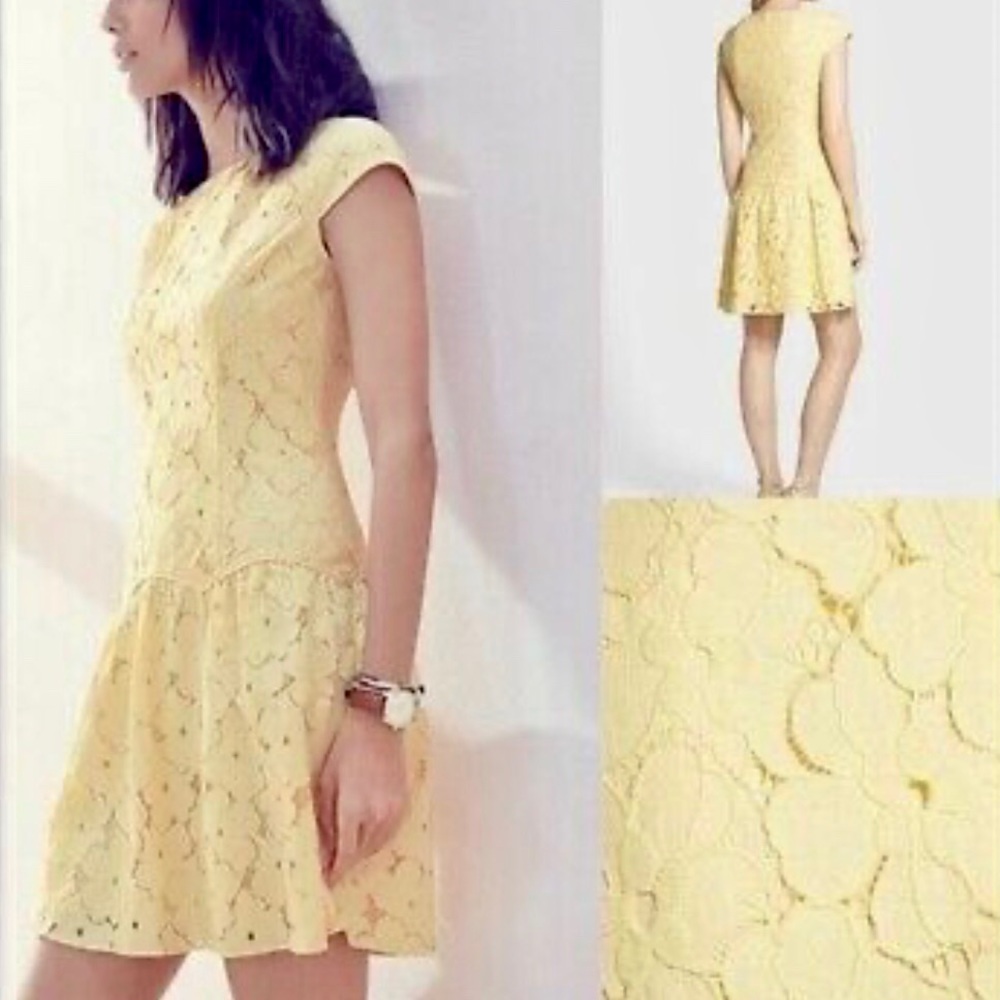 Adriana Papell  Lace Drop Waist Dress New! - Picture 2 of 5